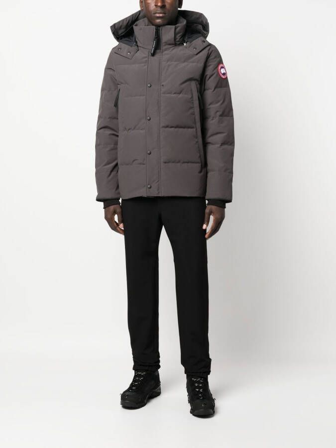 Canada Goose Gewatteerd donsjack Grijs