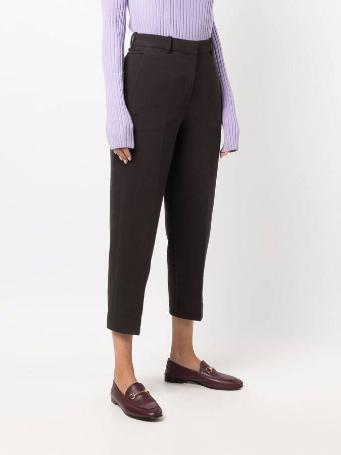 Circolo 1901 Cropped broek Bruin