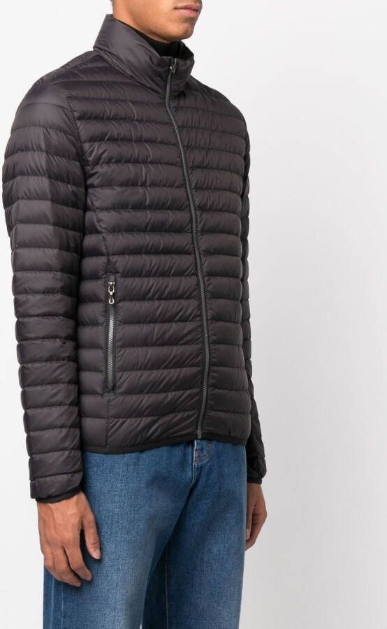 Colmar Jack met logo Zwart