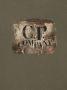 C.P. Company Kids T-shirt met logoprint Groen - Thumbnail 3