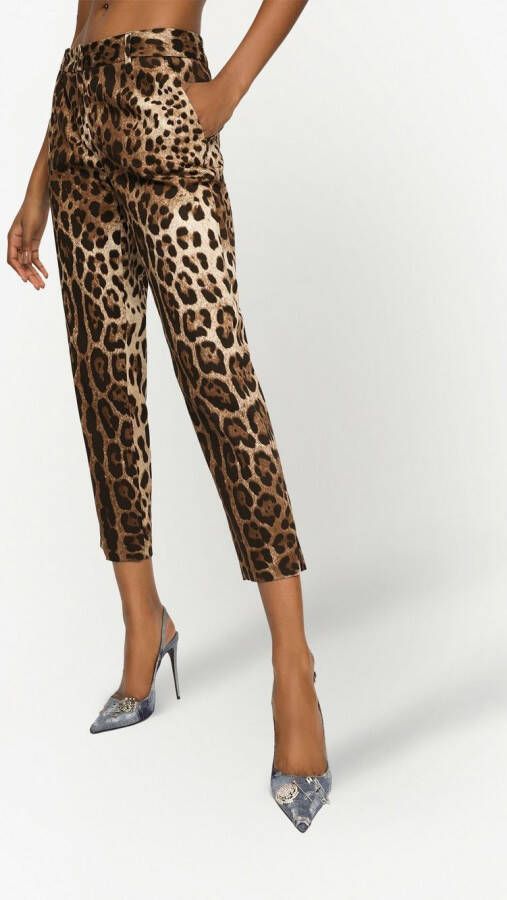 Dolce & Gabbana Pantalon met luipaardprint Bruin