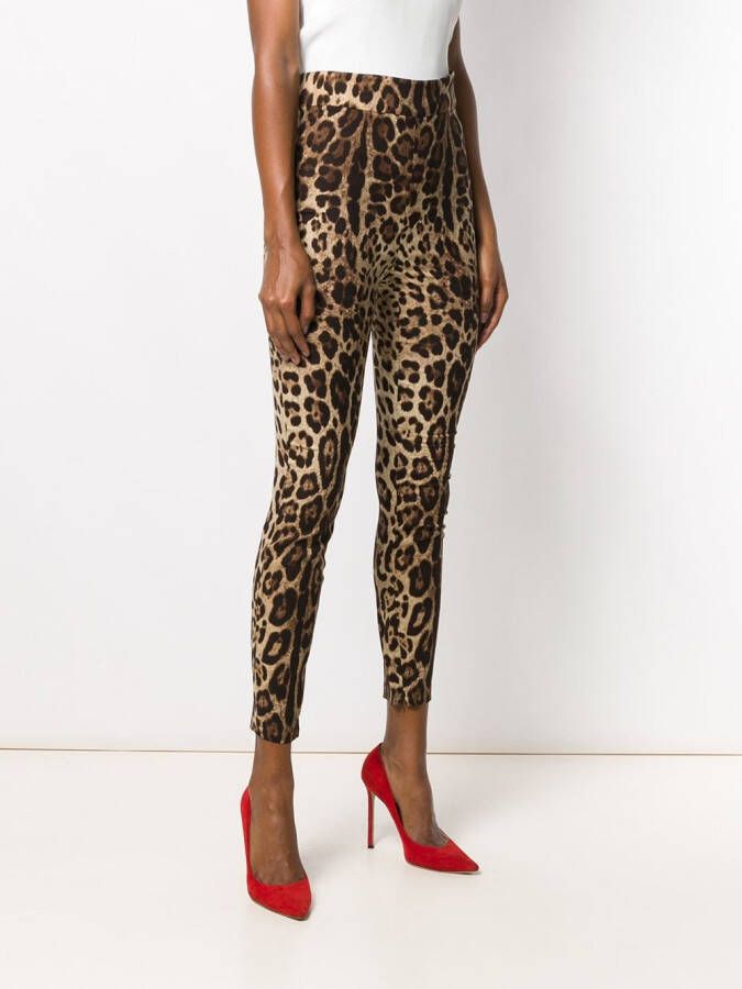 Dolce & Gabbana Cropped broek met luipaardprint Beige