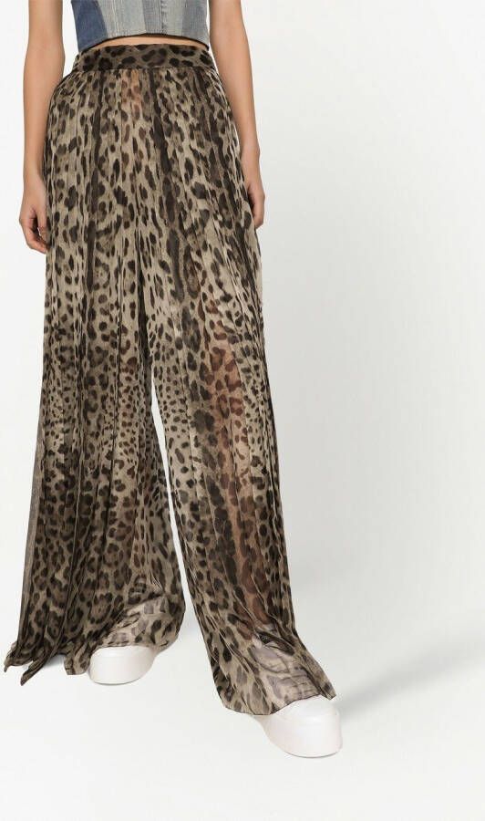Dolce & Gabbana Culotte met luipaardprint Zwart