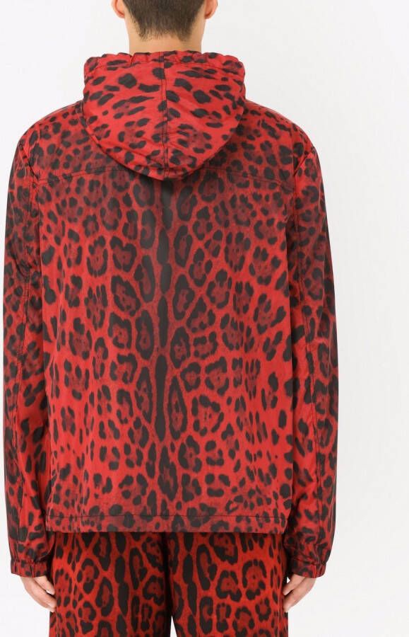Dolce & Gabbana Jack met luipaardprint Rood