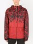 Dolce & Gabbana Jack met luipaardprint Rood - Thumbnail 3