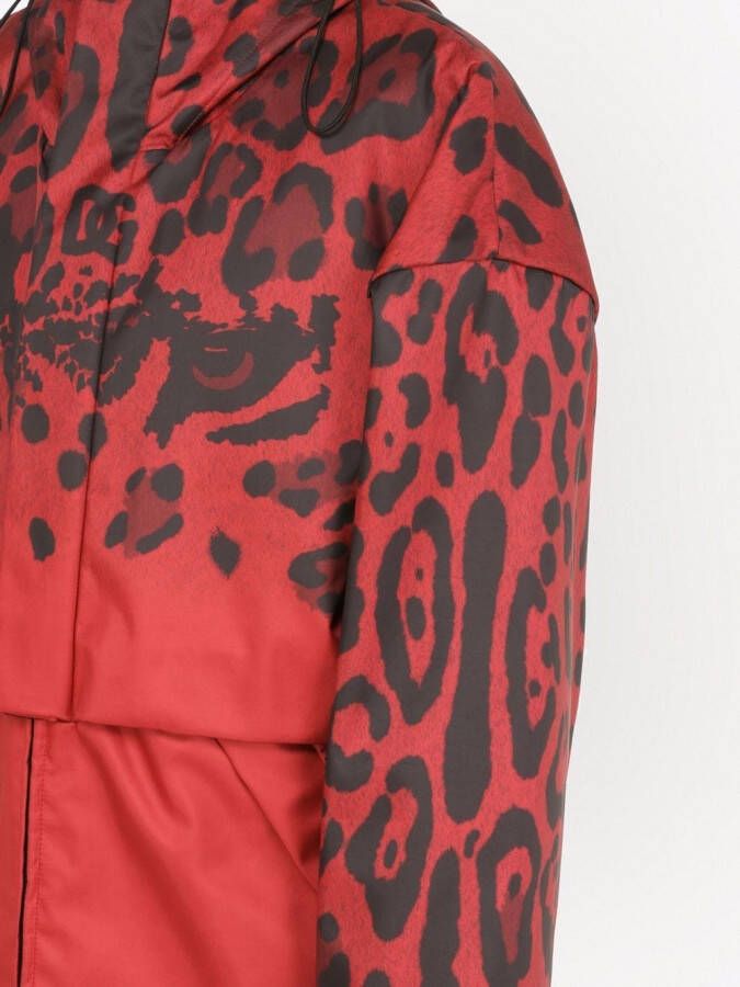 Dolce & Gabbana Jack met luipaardprint Rood