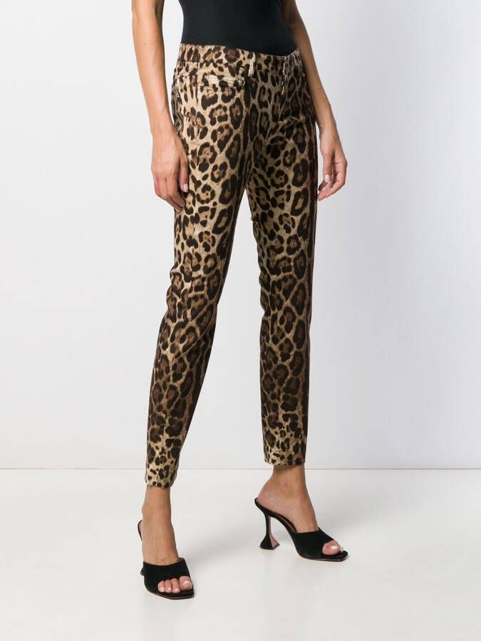 Dolce & Gabbana Jeans met luipaardprint Beige