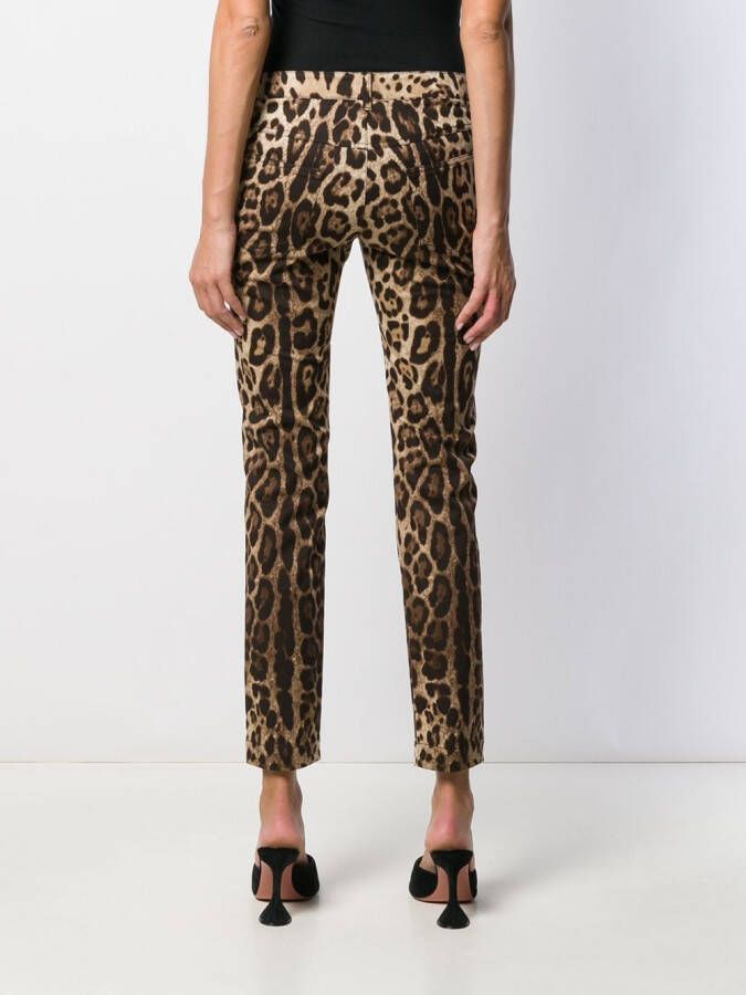 Dolce & Gabbana Jeans met luipaardprint Beige