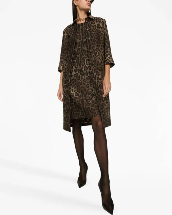 Dolce & Gabbana Jurk met luipaard jacquard Bruin