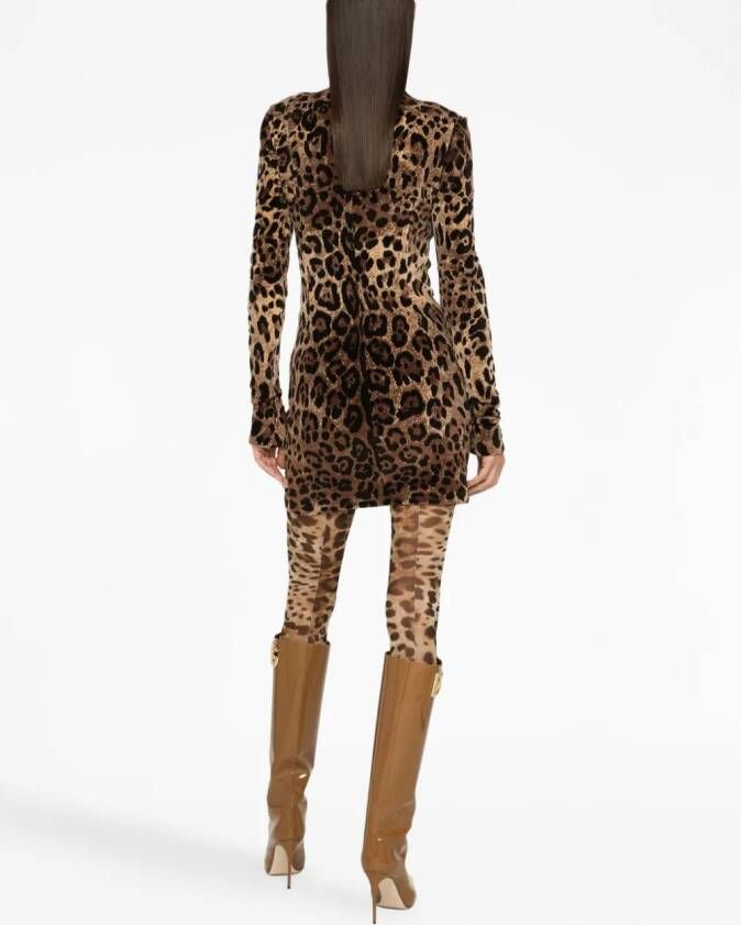 Dolce & Gabbana Jurk met luipaardprint Bruin