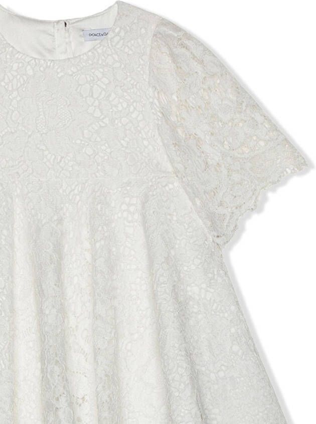 Dolce & Gabbana Kids Jurk met korte mouwen Wit