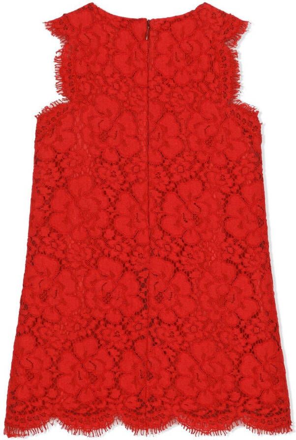 Dolce & Gabbana Kids Midi-jurk met kant Rood