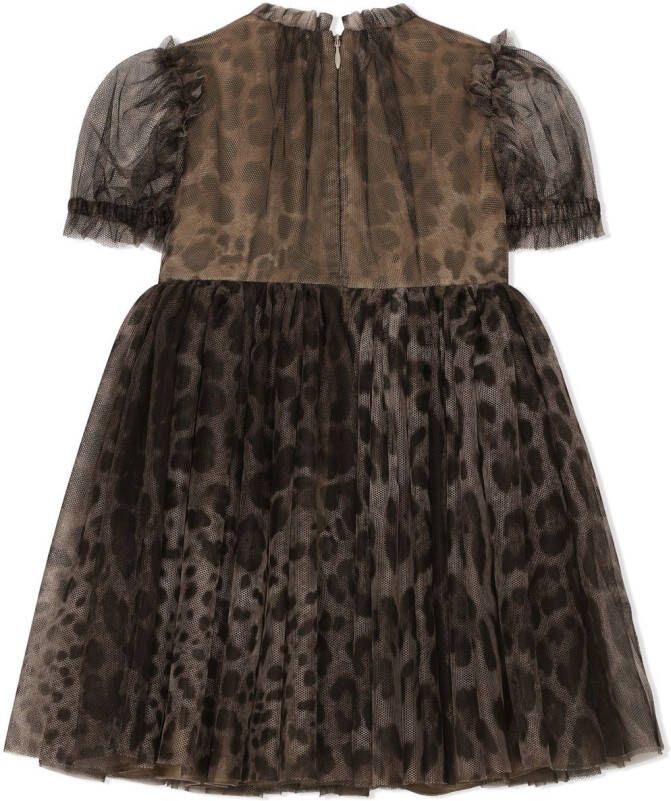 Dolce & Gabbana Kids Tulen jurk met luipaardprint Bruin