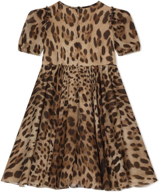 Dolce & Gabbana Kids Chiffon midi-jurk met luipaardprint Bruin