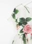 Dolce & Gabbana Kids Jurk met tropische roosprint Wit - Thumbnail 3