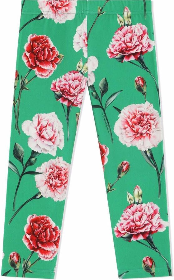 Dolce & Gabbana Kids Legging met bloemenprint Groen