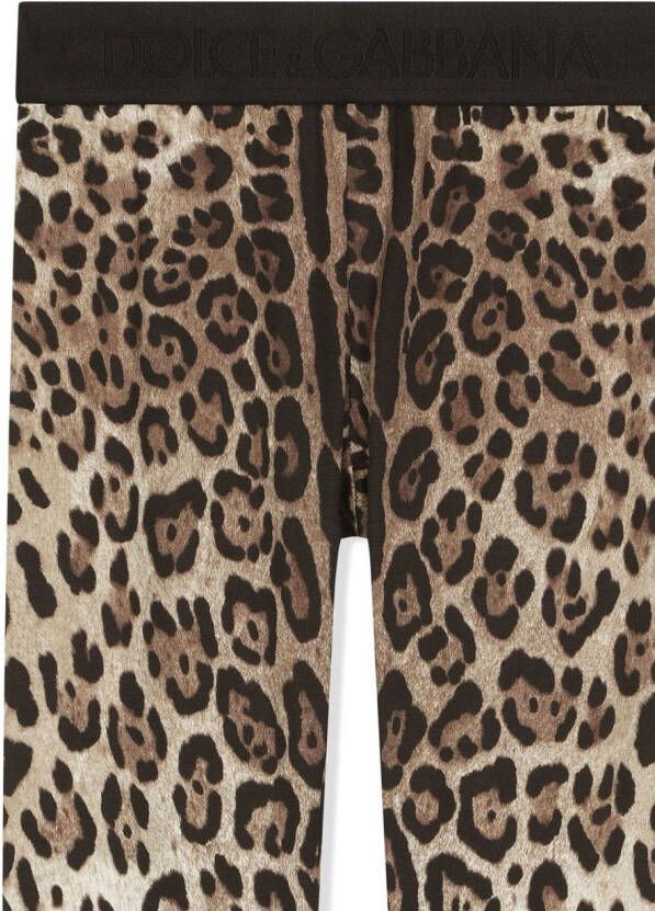 Dolce & Gabbana Kids Legging met luipaardprint Bruin