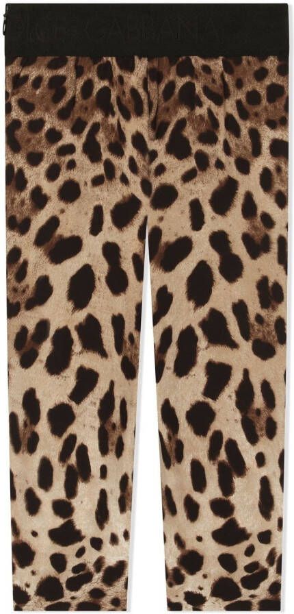 Dolce & Gabbana Kids Stretch-zijden legging met luipaardprint Bruin