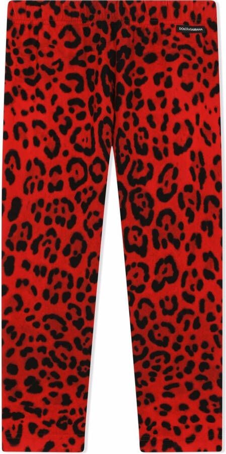 Dolce & Gabbana Kids Legging met luipaardprint Rood