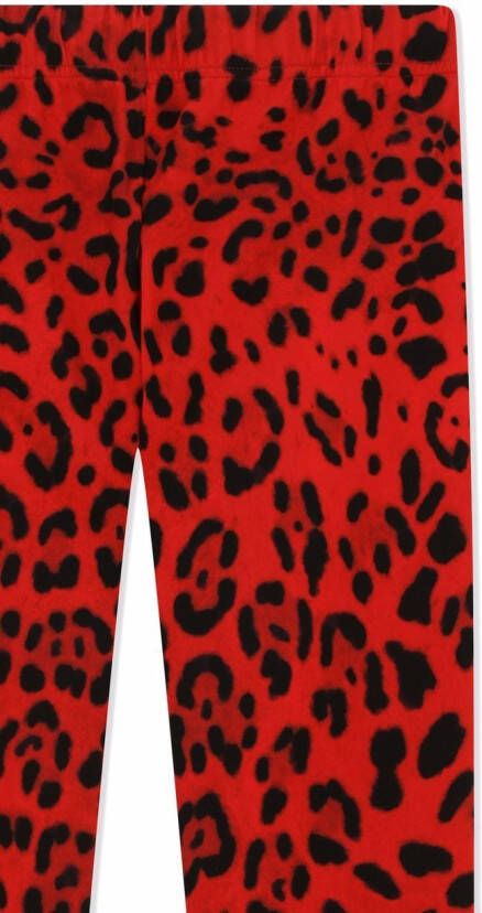 Dolce & Gabbana Kids Legging met luipaardprint Rood
