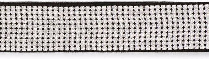 Dolce & Gabbana Kids Riem met mesh en kristallen Zilver