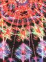 Dolce & Gabbana Kids Shirt met print Zwart - Thumbnail 3
