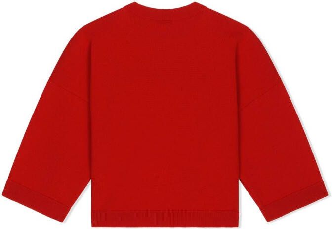 Dolce & Gabbana Kids Wollen trui Rood