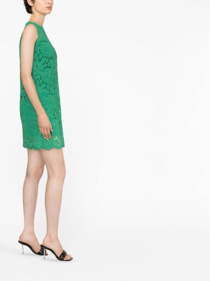 Dolce & Gabbana Mini-jurk met kant Groen