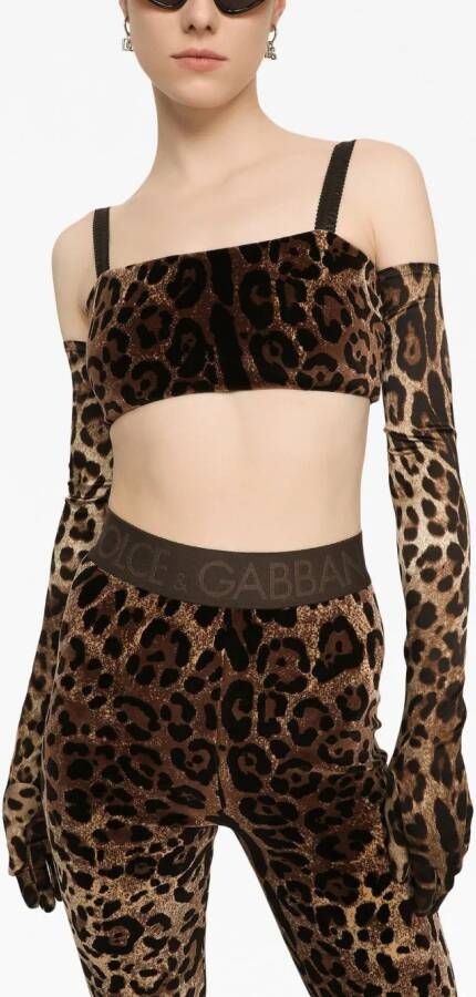 Dolce & Gabbana Legging met luipaardprint Bruin