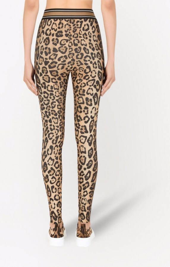 Dolce & Gabbana Jersey legging met luipaardprint Bruin