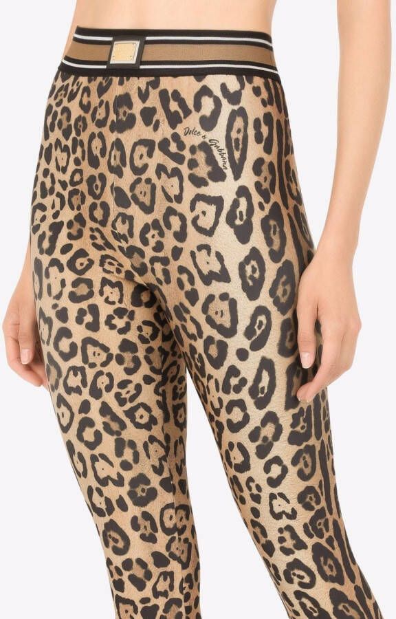 Dolce & Gabbana Jersey legging met luipaardprint Bruin