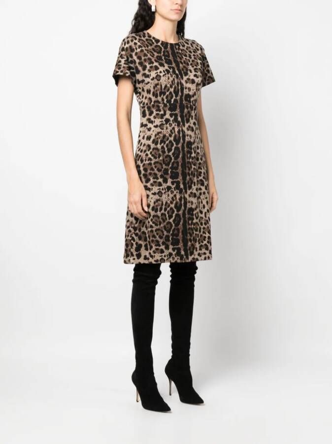 Dolce & Gabbana Jurk met luipaardjacquard Bruin