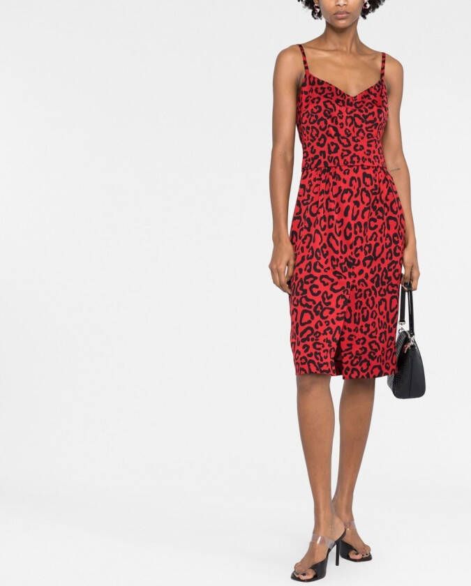 Dolce & Gabbana Midi-jurk met luipaardprint Rood
