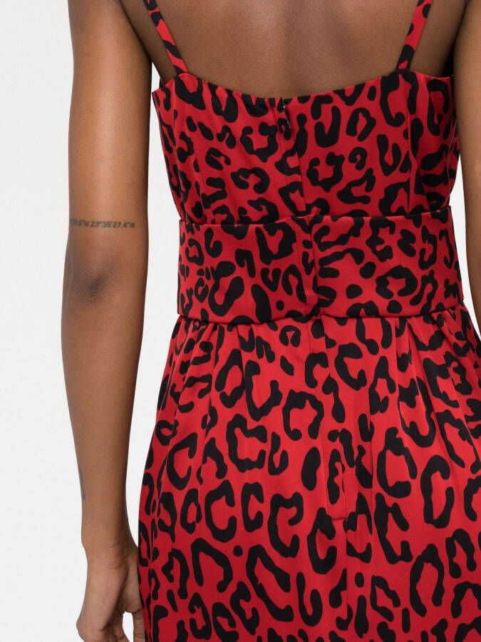 Dolce & Gabbana Midi-jurk met luipaardprint Rood