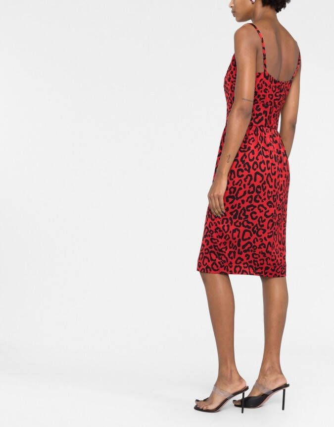 Dolce & Gabbana Midi-jurk met luipaardprint Rood