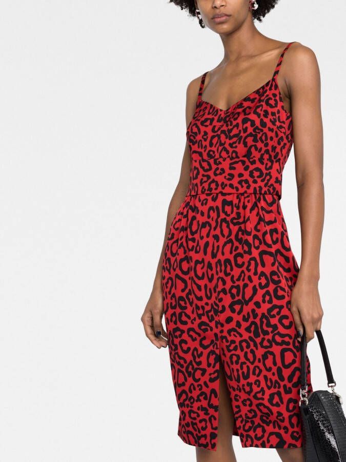 Dolce & Gabbana Midi-jurk met luipaardprint Rood