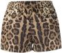 Dolce & Gabbana Shorts met luipaardprint Zwart - Thumbnail 2