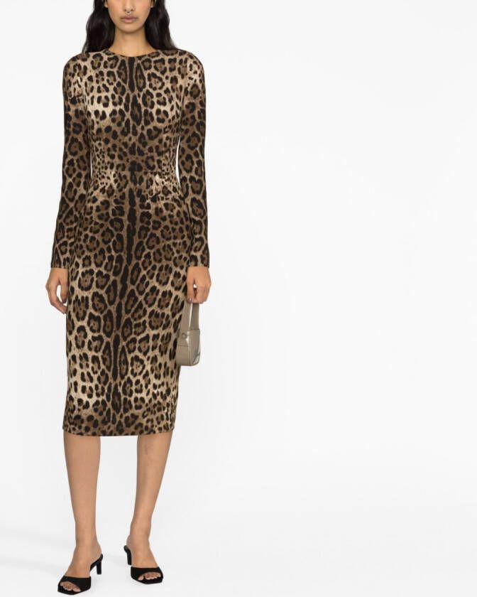 Dolce & Gabbana Jurk met luipaardprint Bruin