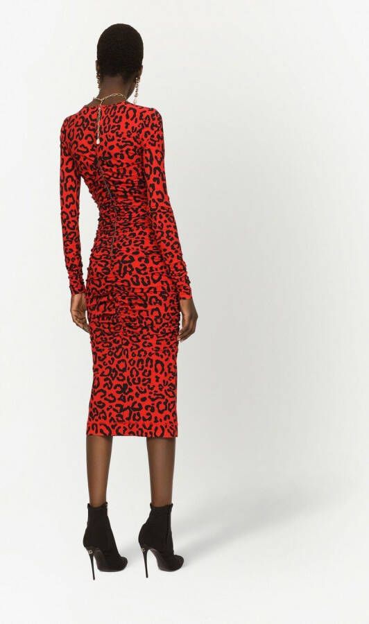 Dolce & Gabbana Midi-jurk met luipaardprint Oranje