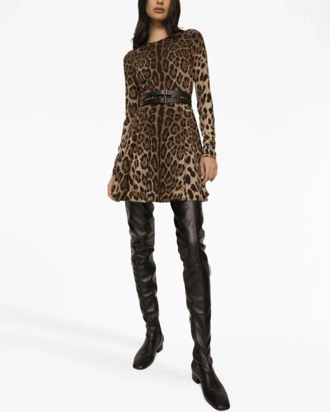 Dolce & Gabbana Mini-jurk met luipaardprint Bruin