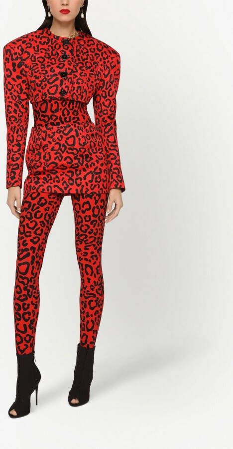 Dolce & Gabbana Mini-rok met luipaardprint Rood