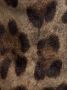 Dolce & Gabbana Panty met luipaardprint Bruin - Thumbnail 3