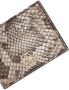 Dolce & Gabbana Pasjeshouder met slangenleerprint Beige - Thumbnail 3