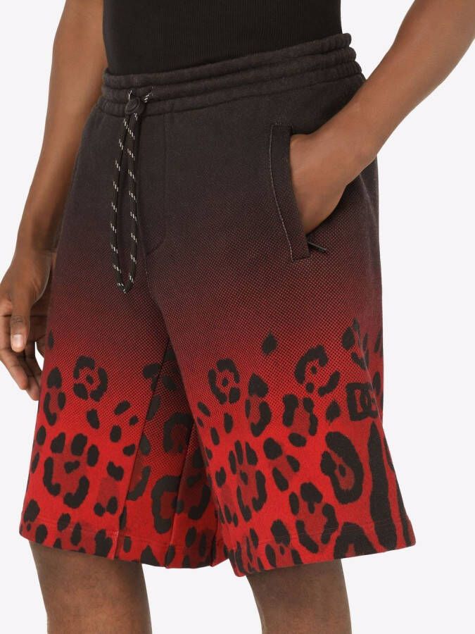 Dolce & Gabbana Shorts met luipaardprint Rood