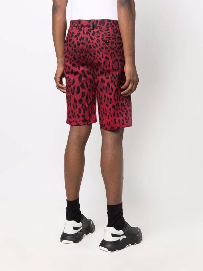 Dolce & Gabbana Shorts met luipaardprint Rood