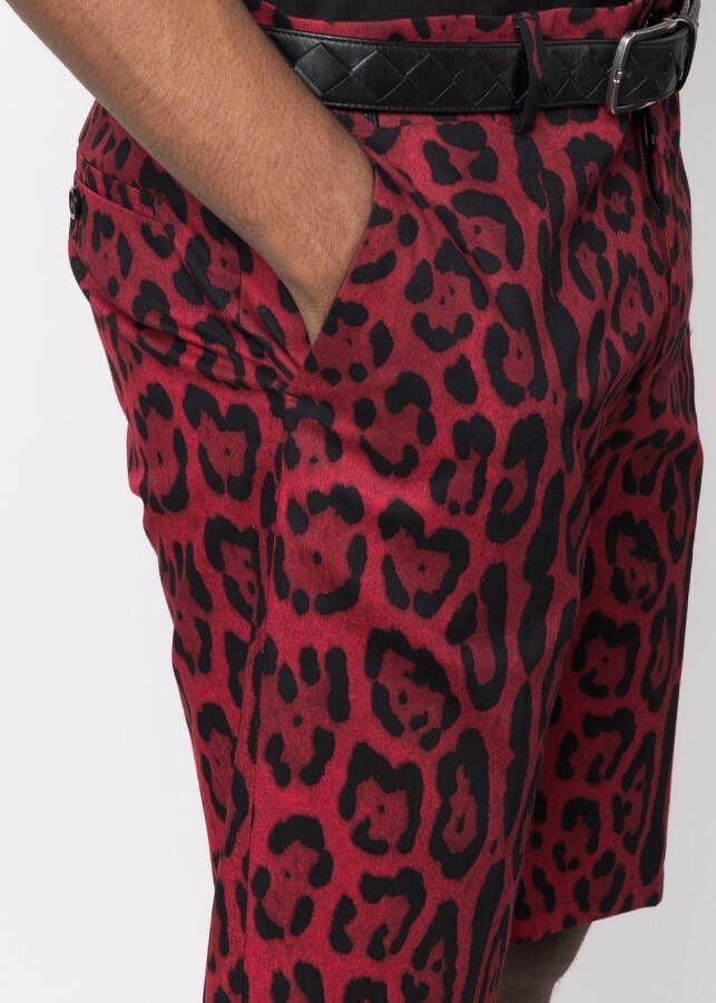 Dolce & Gabbana Shorts met luipaardprint Rood