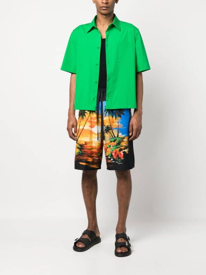 Dolce & Gabbana Shorts met palmboomprint Blauw