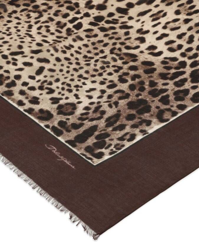 Dolce & Gabbana Sjaal met luipaardprint Bruin