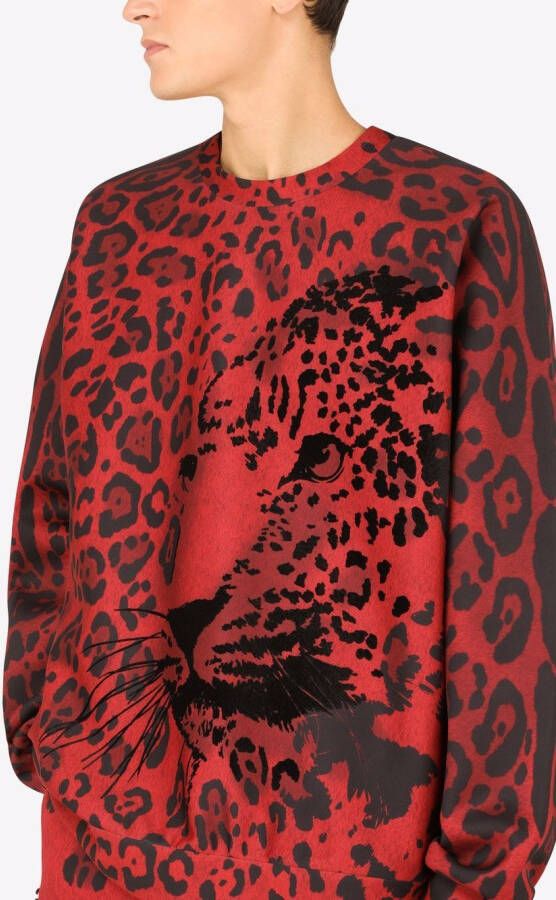 Dolce & Gabbana Sweater met luipaardprint Rood