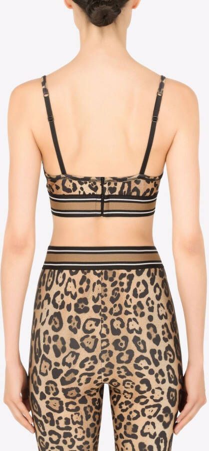 Dolce & Gabbana Bralettetop met luipaardprint Bruin